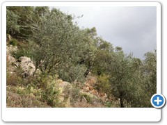 0268_Agriturismo_il_Leopoldino