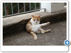 0275_Agriturismo_il_Leopoldino