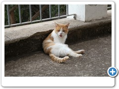 0276_Agriturismo_il_Leopoldino