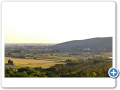 0280_Agriturismo_il_Leopoldino