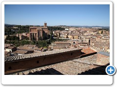 1446_Siena