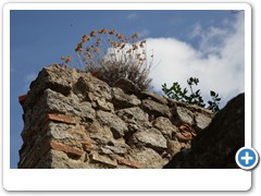 0536_Volterra