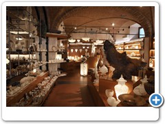 0585_Volterra