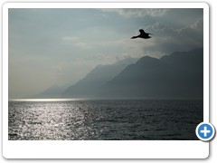 2416_Malcesine