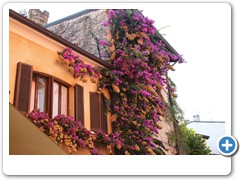 2567_Sirmione
