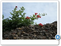 2369_Rimini-il_Borgo
