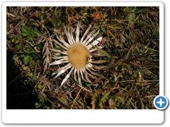 005_Südtirol_Schlininger Tal_Sesvenna_Hütte