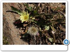 010_Südtirol_Schlininger Tal_Sesvenna_Hütte