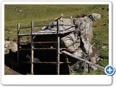 069_Langtauferer_Tal