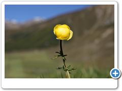 072_Langtauferer_Tal