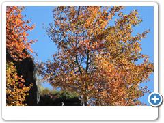 074_Langtauferer_Tal