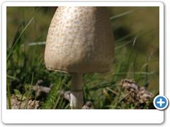 088_Langtauferer_Tal