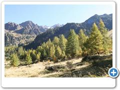 214_Matscher_Tal