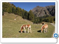 217_Matscher_Tal