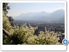 253_Meran