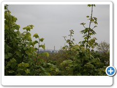 04_Halde_Zollverein_4-11