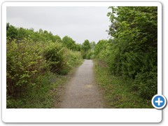 05_Halde_Zollverein_4-11