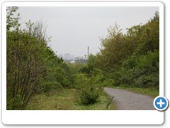 06_Halde_Zollverein_4-11