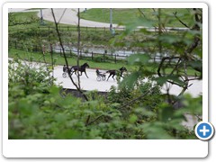 15_Halde_Zollverein_4-11