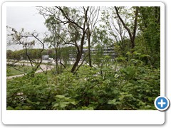 16_Halde_Zollverein_4-11