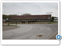 23_Halde_Zollverein_4-11