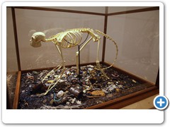 020_Dortmunder_U